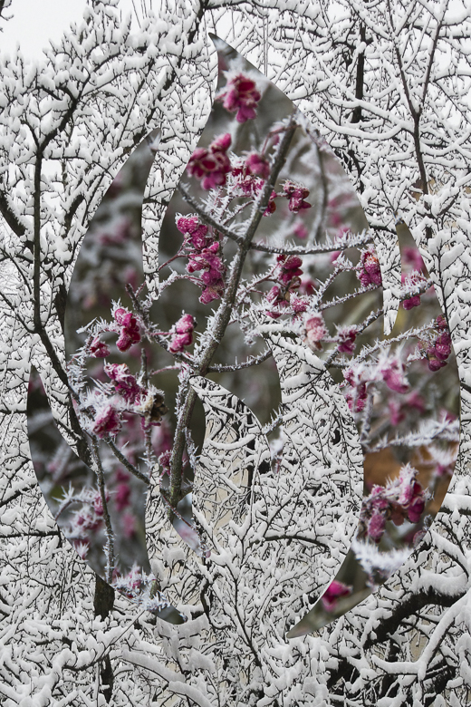 Flamme im Schnee